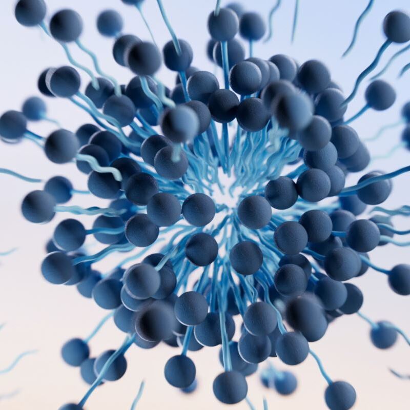 micelles